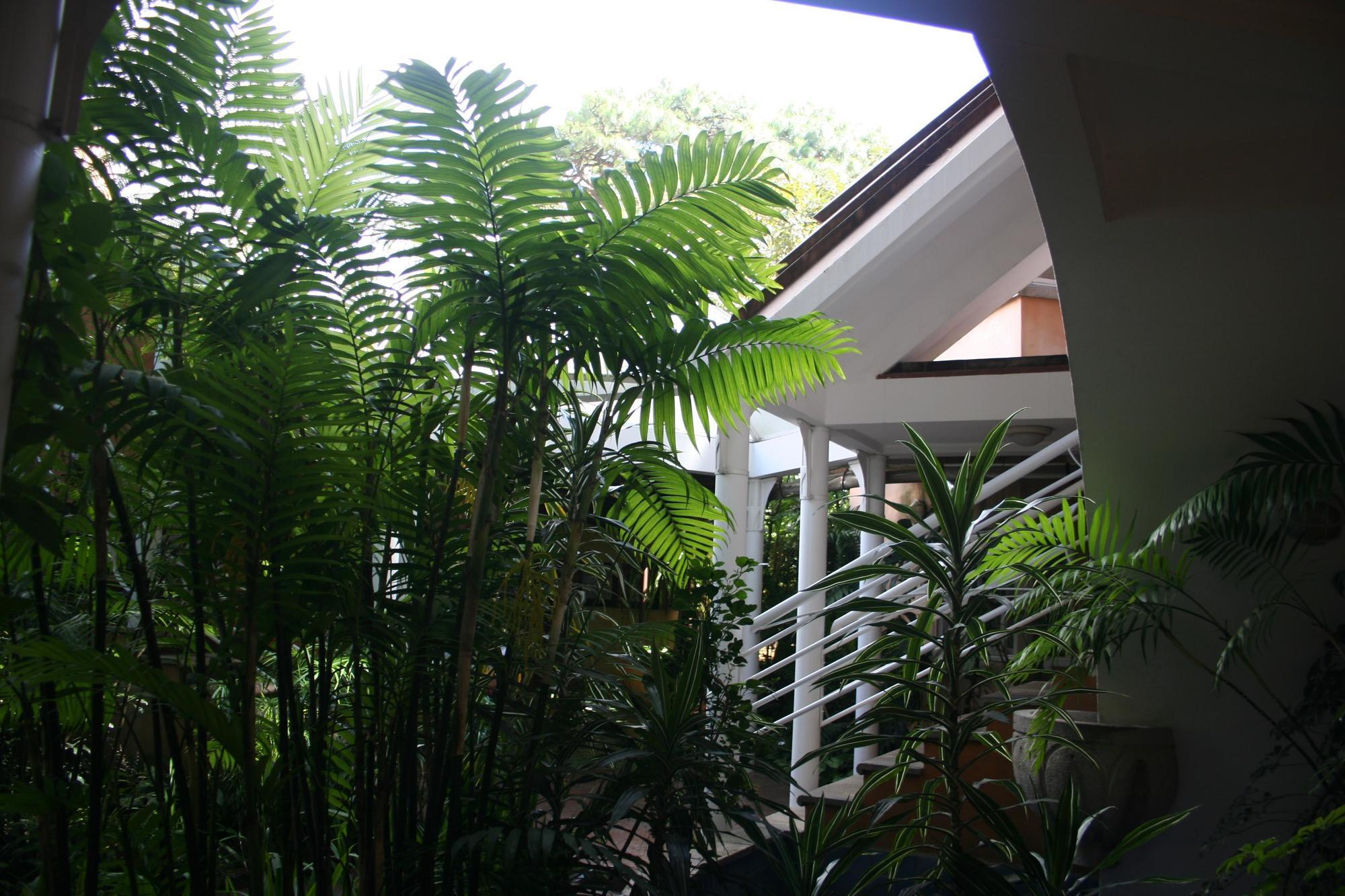 Hotel Ciudad Vieja Ciudad de Guatemala Exteriér fotografie